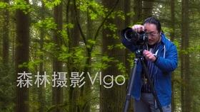 救援小蝙蝠